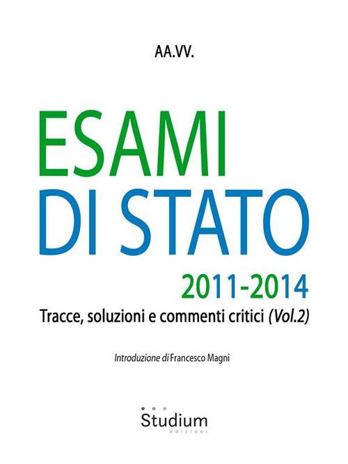 Esami di stato. Tracce, soluzioni e commenti critici. Vol. 2 - AA.VV. - ebook