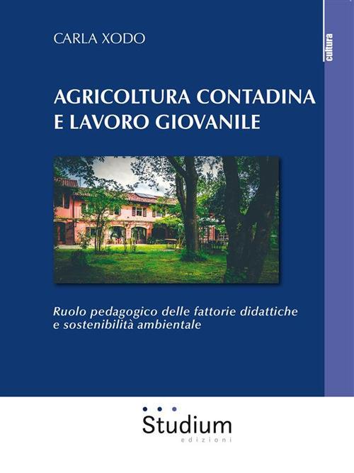 Agricoltura contadina e lavoro giovanile. Ruolo pedagogico delle fattorie didattiche e sostenibilità ambientale - Carla Xodo - ebook