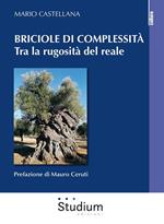 Briciole di complessità. Tra la rugosità del reale