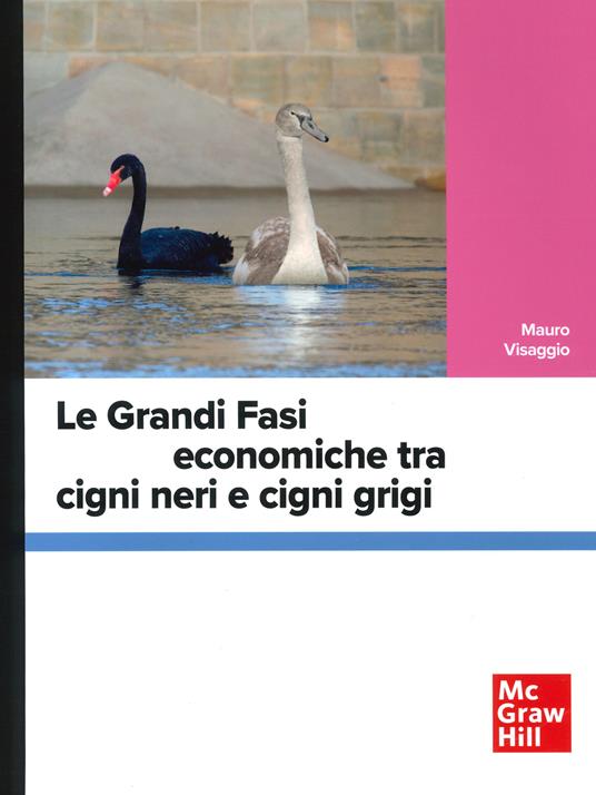 Le grandi fasi economiche tra cigni neri e cigni grigi - Mauro Visaggio - copertina