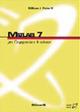 Matlab 7. Per l'ingegneria e le scienze - William J. Palm - copertina