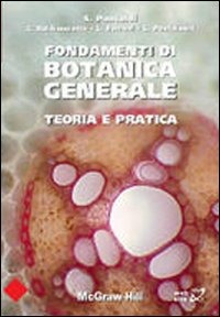 Libraccio