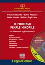 Processo penale minorile. Con CD-ROM