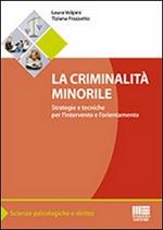 La criminalità minorile. Strategie e tecniche per l'intervento e l'orientamento