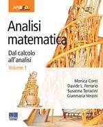 Analisi matematica. Dal calcolo all'analisi. Vol. 1