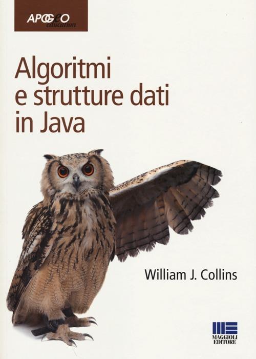 Algoritmi e strutture dati in Java - William Collins - copertina
