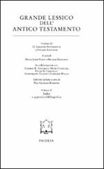 Grande lessico dell'Antico Testamento. Vol. 10: Indici e appendice bibliografica.