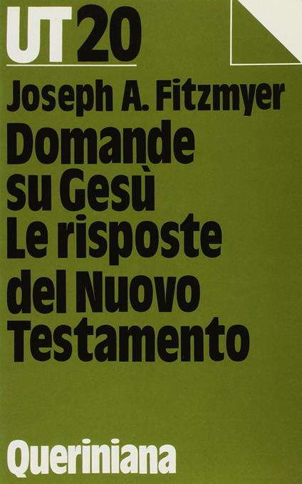 Domande su Gesù. Le risposte del Nuovo Testamento - Joseph A. Fitzmyer - copertina
