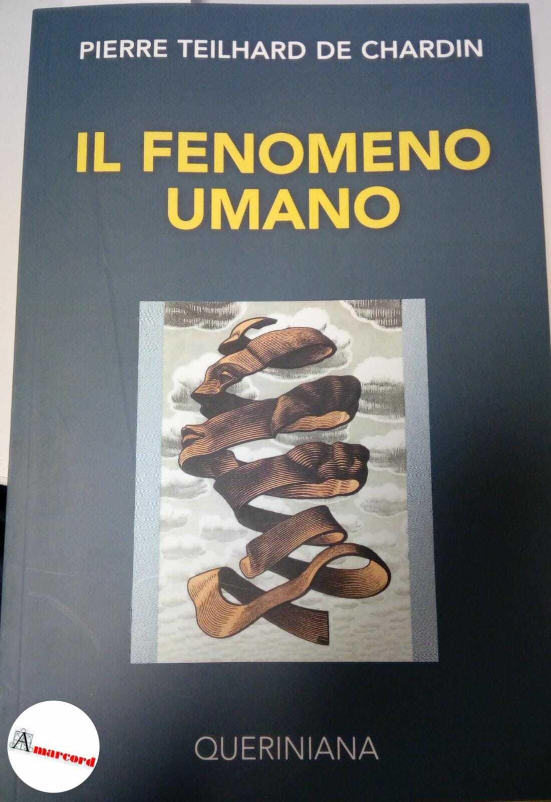 Amarcord Libri