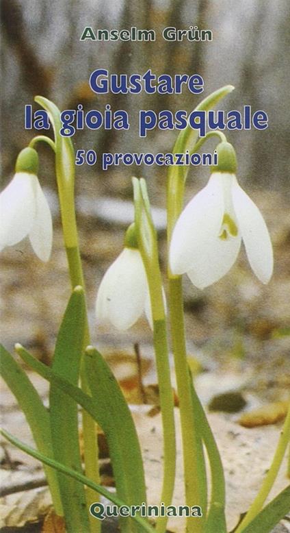 Gustare la gioia pasquale. 50 provocazioni - Anselm Grün - copertina