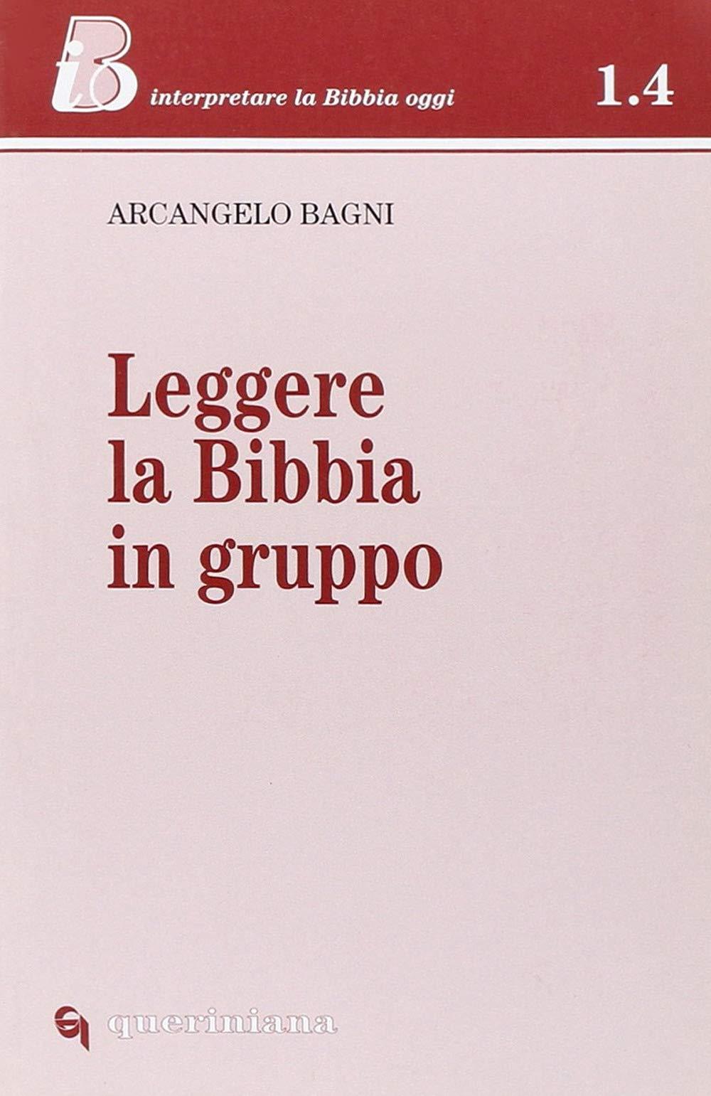 Librisaggi