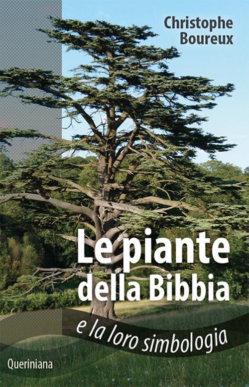 Piante della Bibbia e la loro simbologia - Christophe Boureux - copertina