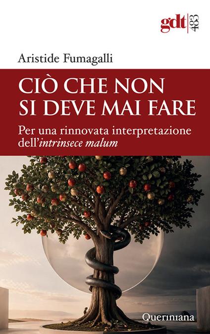 Ciò che non si deve mai fare. Per una rinnovata interpretazione dell'intrinsece malum - Aristide Fumagalli - copertina