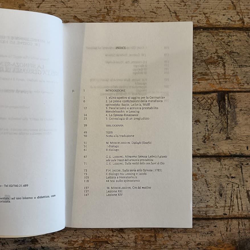 La Spinoza-Renaissance nella Germania di fine Settecento