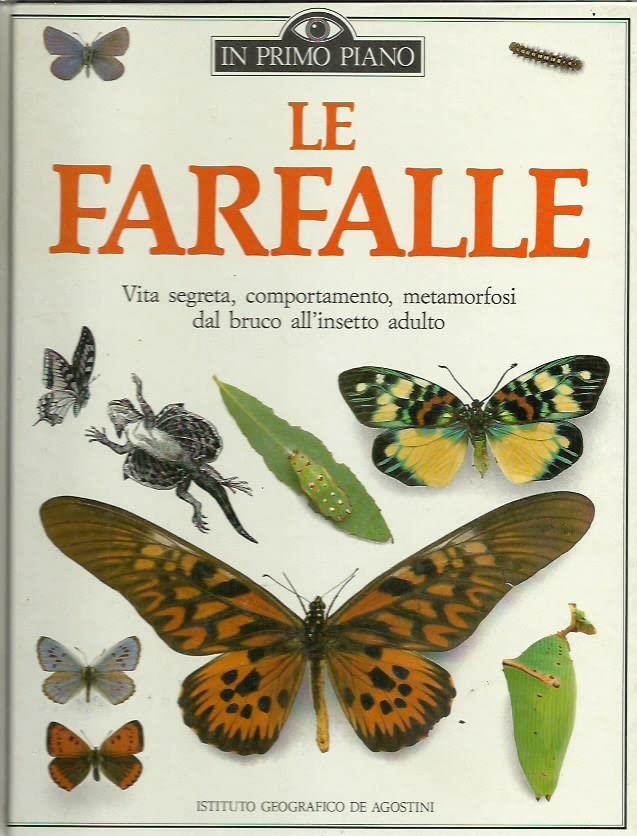 Libreria Biblos di Costa Pierandrea