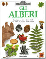 Il Secolo Scorso