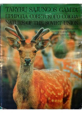 Libreria Tara
