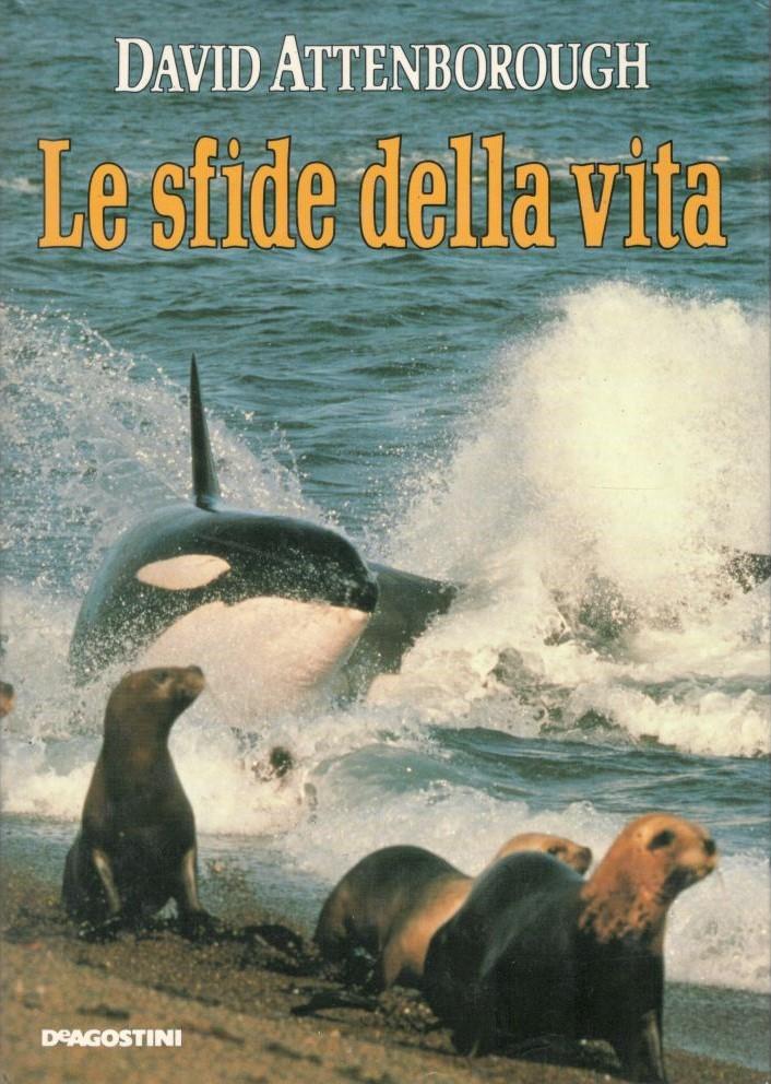 Librisaggi