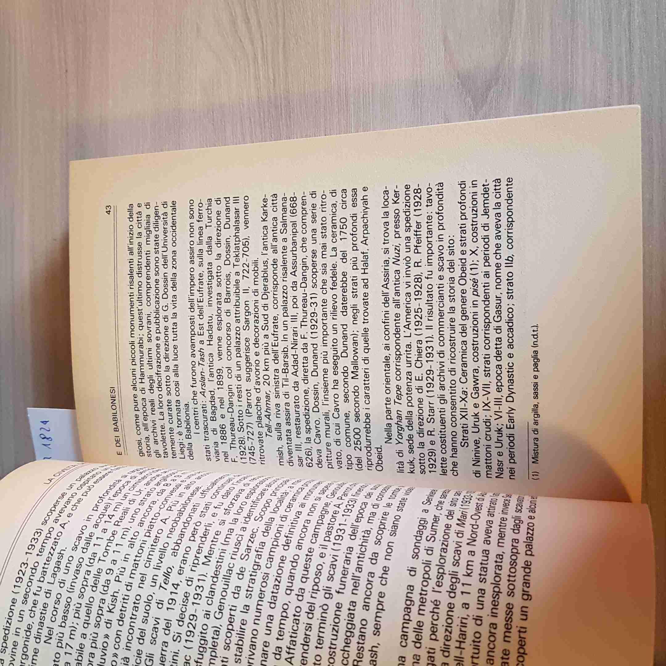 Civiltà. Assiri e babilonesi