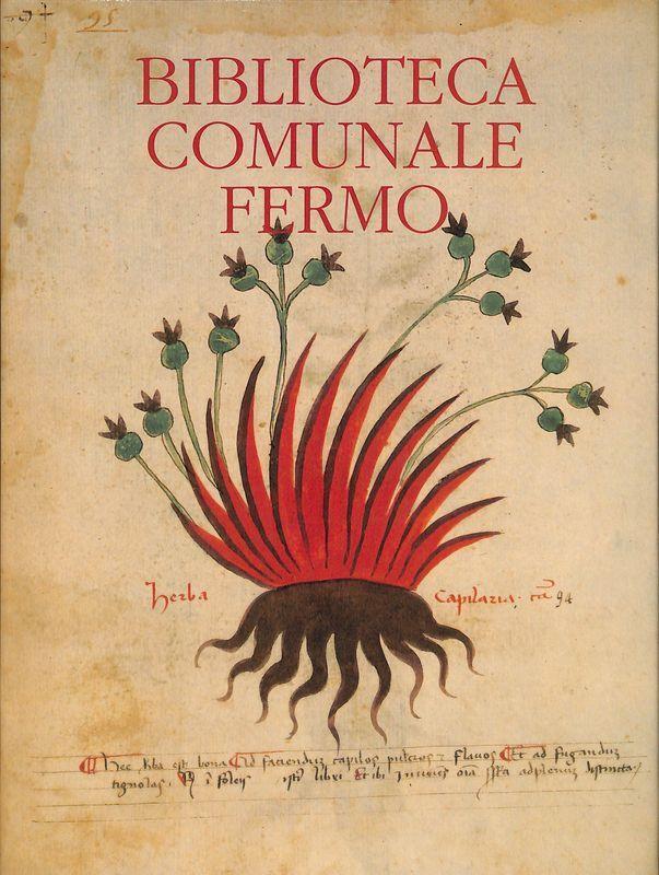 Folignolibri