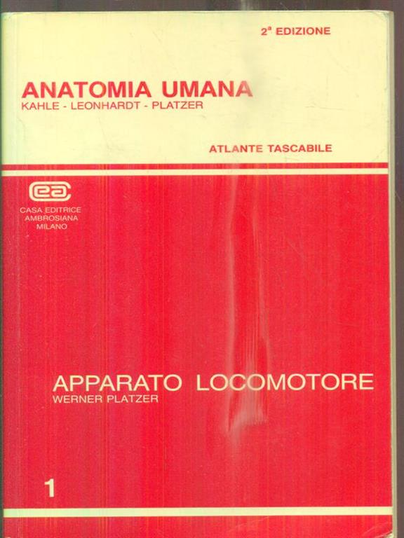 LETTORILETTO