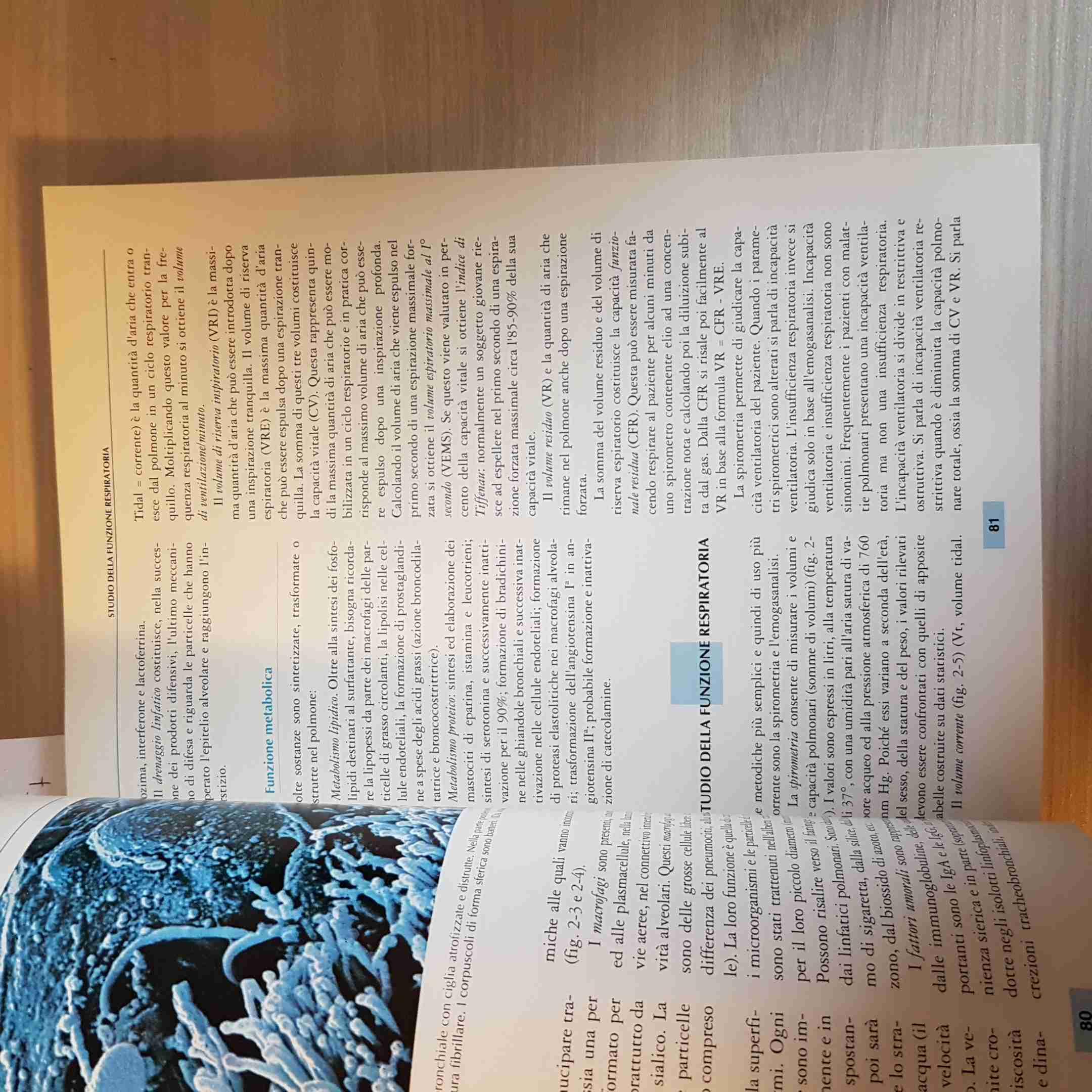 Rossi. Principi di patologia medica