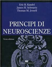 Libraccio