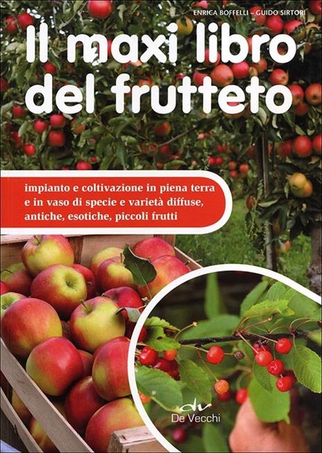 Il maxi libro del frutteto. Coltivazione in piena terra e in vaso - Enrica Boffelli,Guido Sirtori - 3