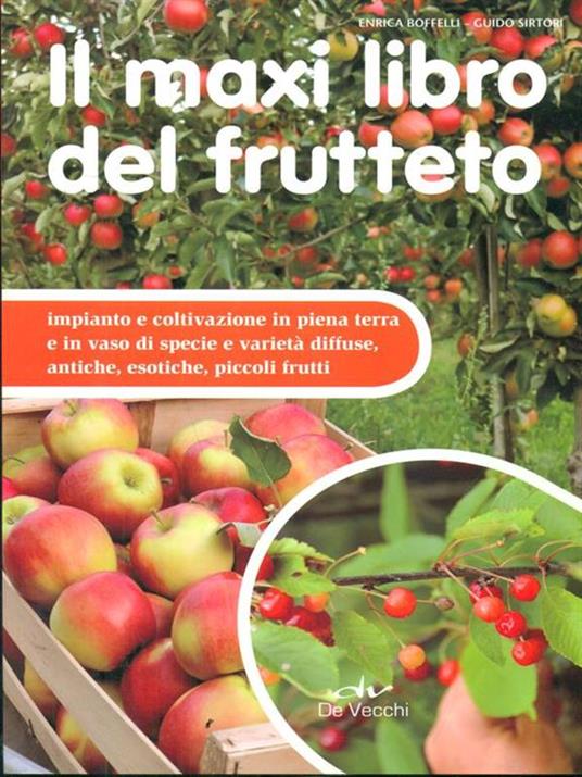 Il maxi libro del frutteto. Coltivazione in piena terra e in vaso - Enrica Boffelli,Guido Sirtori - 4
