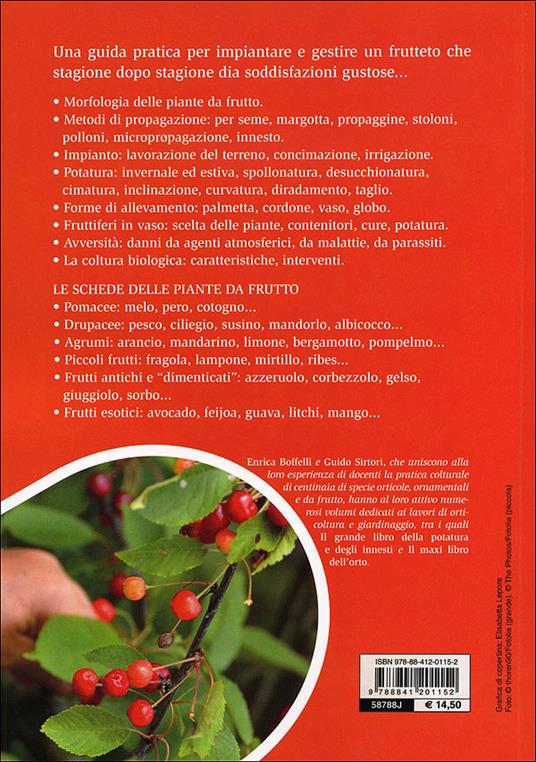 Il maxi libro del frutteto. Coltivazione in piena terra e in vaso - Enrica Boffelli,Guido Sirtori - 7