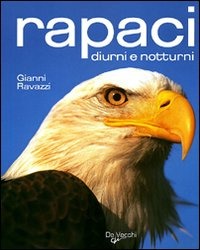 Piazza del Libro