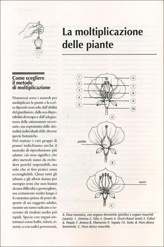 Il maxi libro del giardino. Come progettare, organizzare, suddividere, impiantare e curare il tuo giardino - Fausta Mainardi Fazio - 2