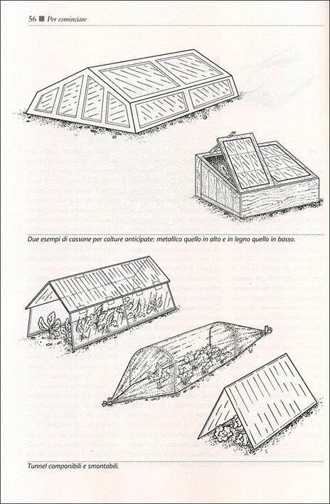 Il maxi libro del giardino. Come progettare, organizzare, suddividere, impiantare e curare il tuo giardino - Fausta Mainardi Fazio - 3