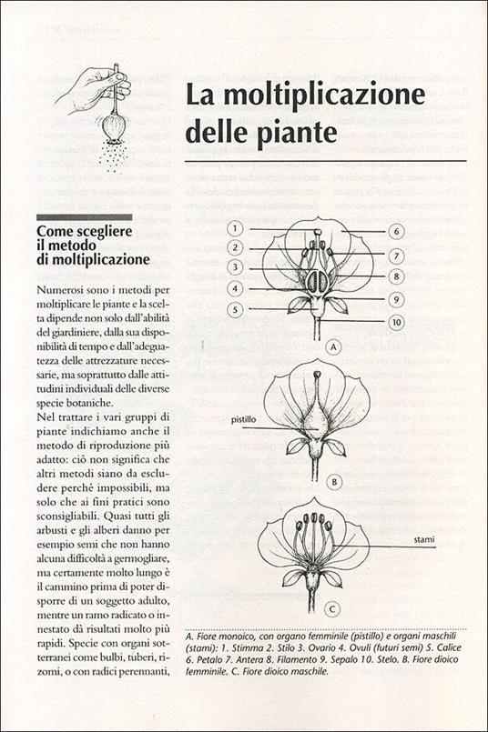 Il maxi libro del giardino. Come progettare, organizzare, suddividere, impiantare e curare il tuo giardino - Fausta Mainardi Fazio - 4