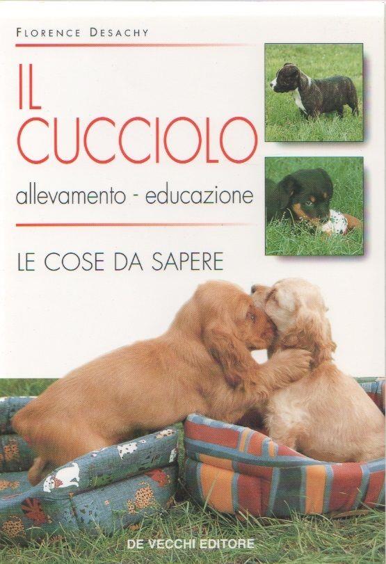 Libreria Biblos di Costa Pierandrea