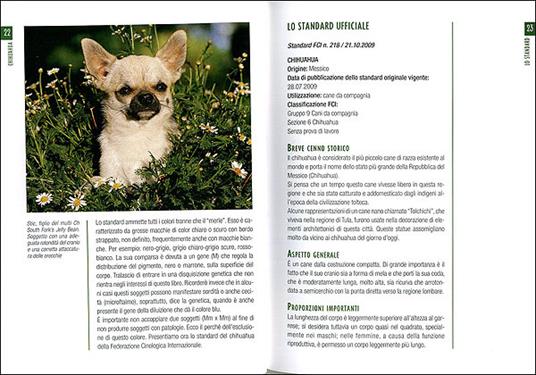 Chihuahua - Candida Pialorsi Falsina,Antonella Tomaselli - 8