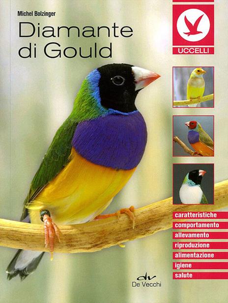 Diamante di gould - Michel Bolzinger - copertina