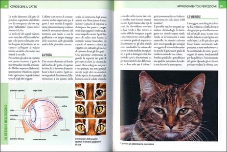 Il linguaggio del gatto. Conoscerlo, capirlo, interpretarlo - Nicoletta Magno - 2