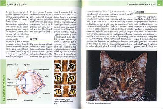 Il linguaggio del gatto. Conoscerlo, capirlo, interpretarlo - Nicoletta Magno - 4