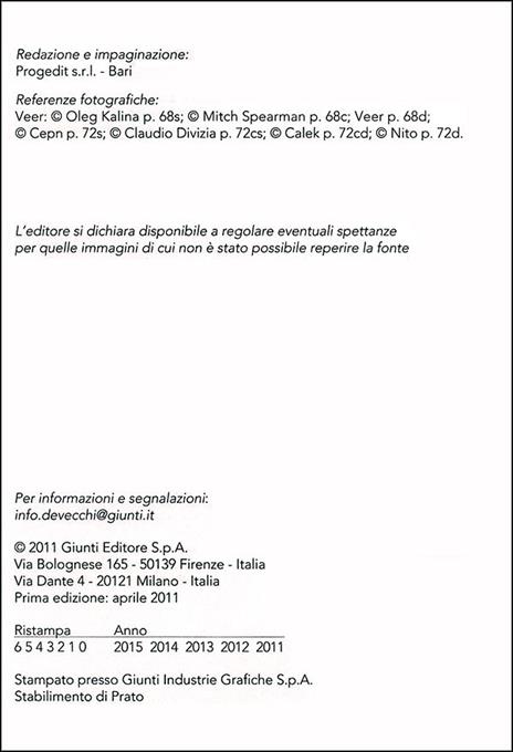 Problem solving creativo. Come identificare e analizzare i problemi e attivare le risorse per risolverli - 2