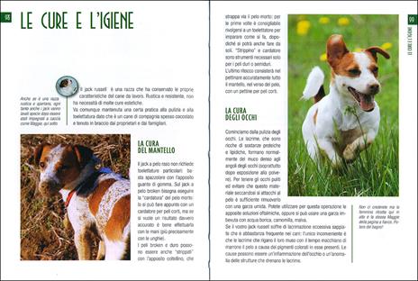 Jack Russel terrier - Gianfranco Bauchal,Roberto Vincenzi - 2