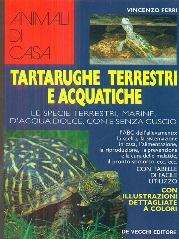 Libraccio