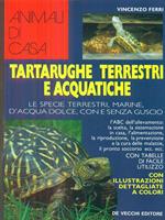 Tartarughe terrestri e acquatiche. Le specie terrestri, marine, d'acqua dolce, con e senza guscio