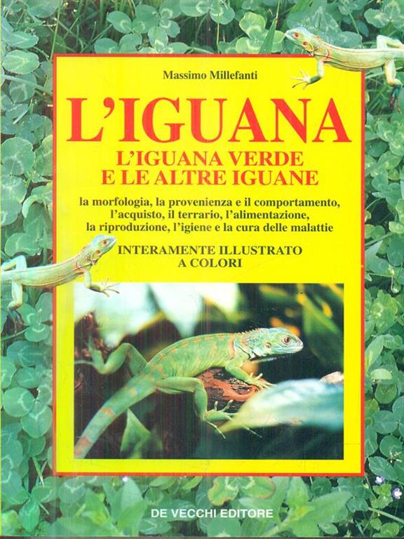 Libraccio