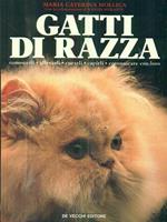 Gatti di razza