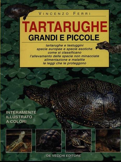 Tartarughe grandi e piccole - Vincenzo Ferri - copertina
