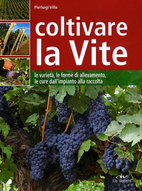 Coltivare la vite. Le varietà, le forme di allevamento, le cure dall'impianto alla raccolta - Pierluigi Villa - copertina