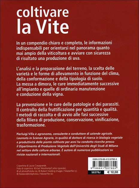 Coltivare la vite. Le varietà, le forme di allevamento, le cure dall'impianto alla raccolta - Pierluigi Villa - 7