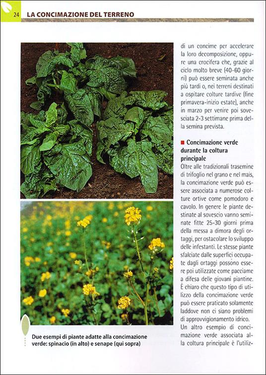 Compostaggio e concimazione organica. Guida completa alla fertilizzazione del terreno con sistemi naturali - Renata Rogo - 3