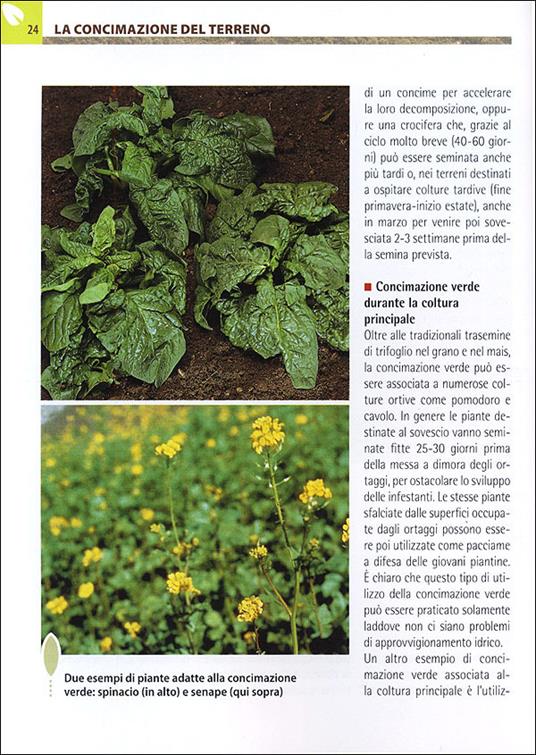 Compostaggio e concimazione organica. Guida completa alla fertilizzazione del terreno con sistemi naturali - Renata Rogo - 5